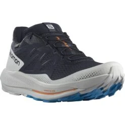 SALOMON PULSAR TRAIL GORE-TEX NIGHT SKY/LUNAR ROCK/INDIGO BUNTING 22 9 SALOMON PULSAR TRAIL GORE-TEX NIGHT SKY/LUNAR ROCK/INDIGO BUNTING 22 -Hiking And Camping 9 109711 l41749900 02