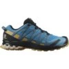 SALOMON XA PRO 3D V8 BARR REEF/FALL LEAF/BRONZE BROWN 23